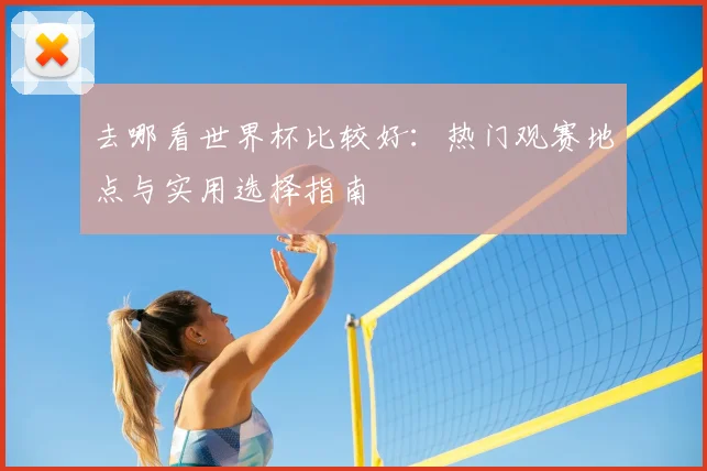去哪看世界杯比较好:热门观赛地点与实用选择指南