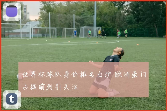 世界杯球队身价排名出炉 欧洲豪门占据前列引关注